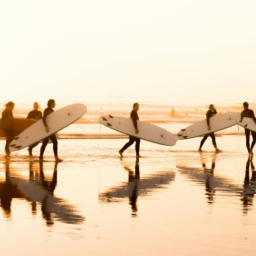 surf