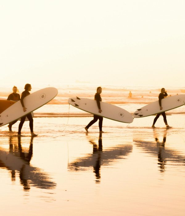 surf